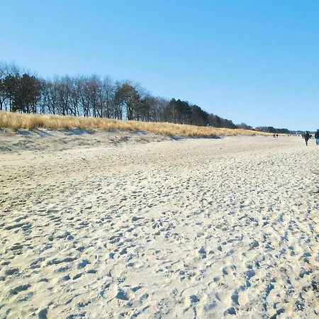 Holiday Flat In Der Achtern Diek - Dos06067-p * Zingst